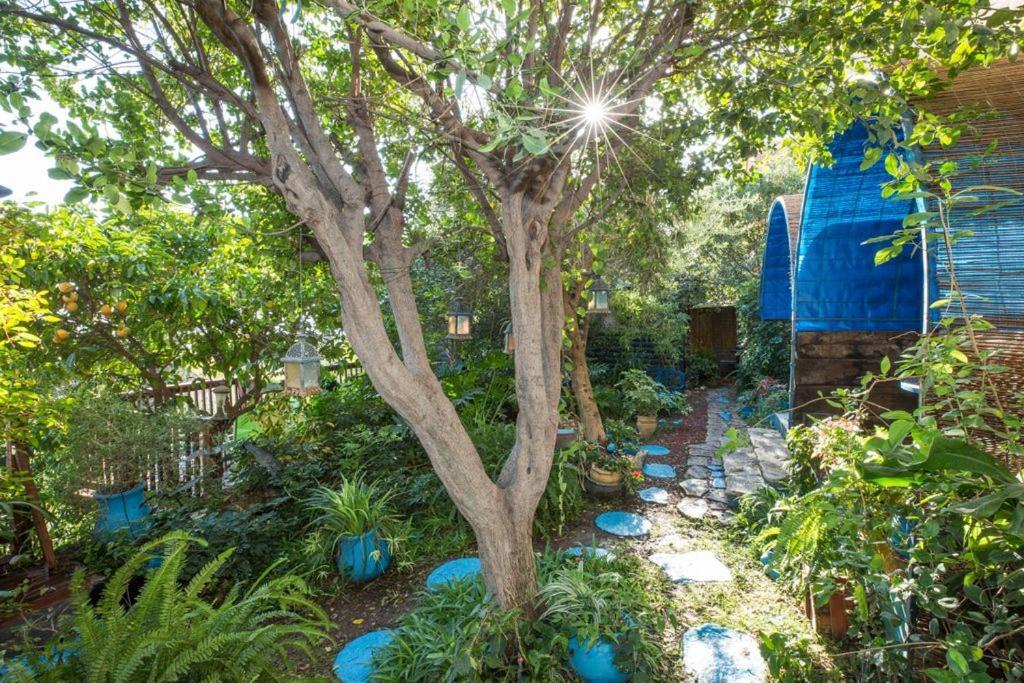 Havaya Ba Nof Lodge Rosch Pina Exterior foto