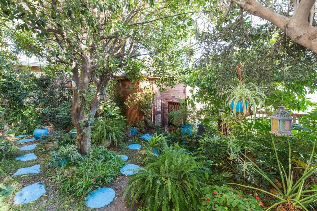 Havaya Ba Nof Lodge Rosch Pina Exterior foto